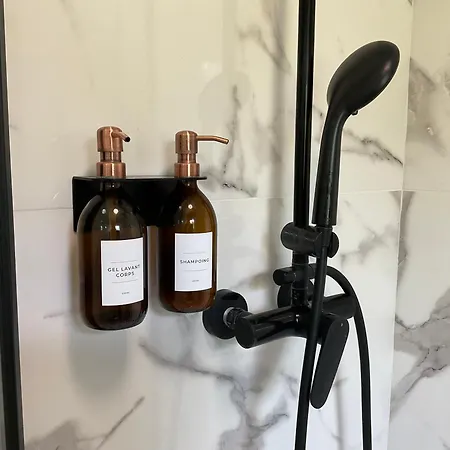 Climatisé Avec Piscine Appartement Saint-Raphaël