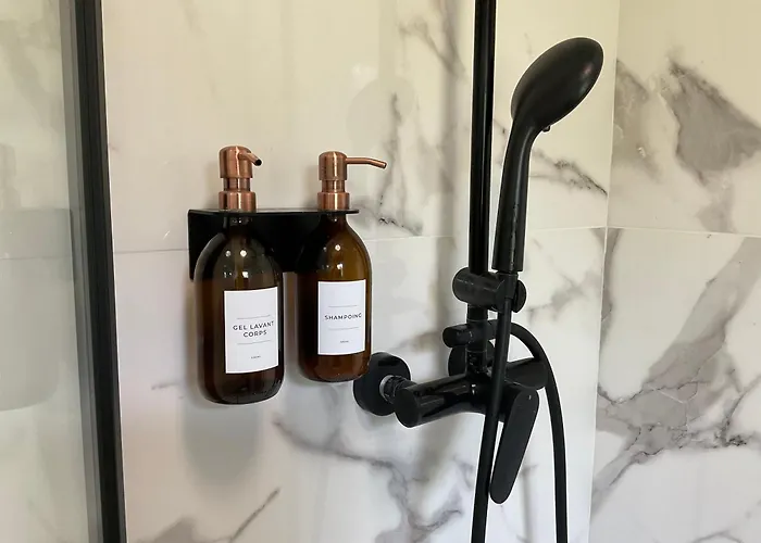 Climatisé Avec Piscine Appartement Saint-Raphaël