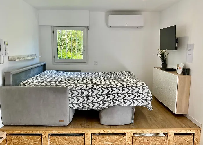 Climatise Avec Piscine *